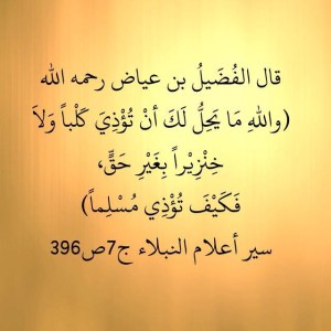 FudaylIbnIyaad_harmingMuslimsPigs